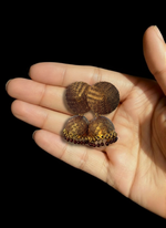 Load image into Gallery viewer, Maroon Dome Jhumka Earrings